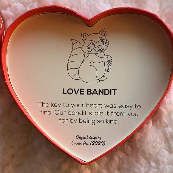 BNIB Erstwilder Adorable Love Bandit Brooch - Picture 3 of 4